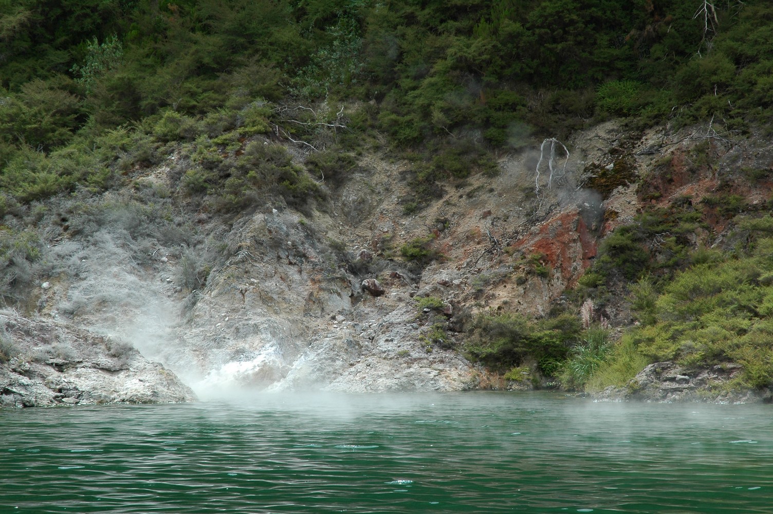 356   03 02   Rotorua + omgeving